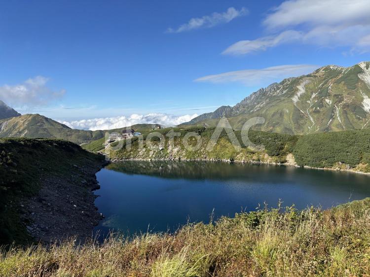 秋のみくりが池　室堂　立山 みくりが池,室堂,立山の写真素材