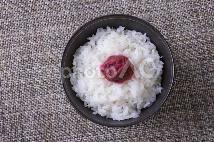 和　御飯単品 和風,ご飯,日本食の写真素材