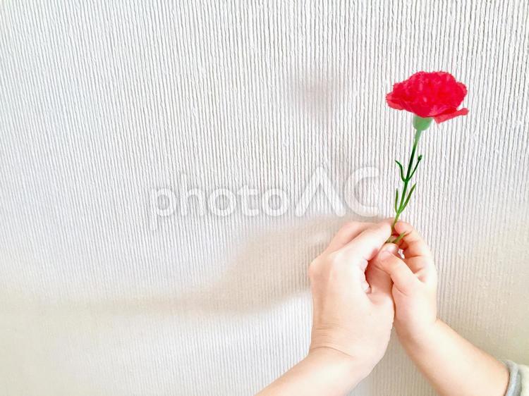 カーネーションを持つ母子の手 カーネーション,母の日,愛の写真素材