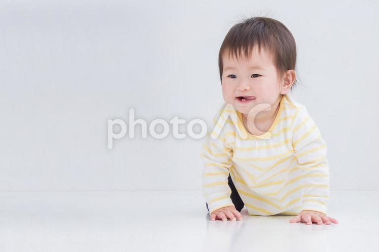 ハイハイする赤ちゃん 赤ちゃん,子供,ハイハイの写真素材