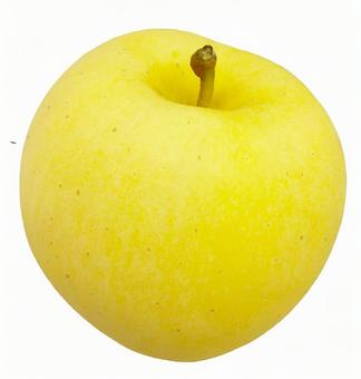 りんご りんご,黄りんご,青リンゴの写真素材