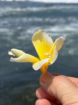 バリにての写真