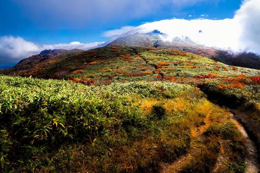 栗駒山 笠雲と紅葉の道 栗駒山 笠雲と紅葉の道 秋,紅葉,黄葉の写真素材