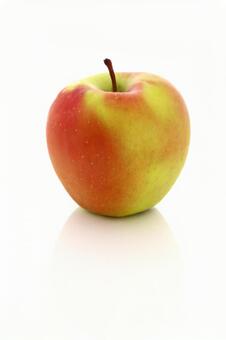 赤と黄のグラデーションが美りんごの白背景 りんご,red,yellowの写真素材