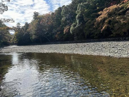 秋の五十鈴川 五十鈴川,三重県,自然の写真素材