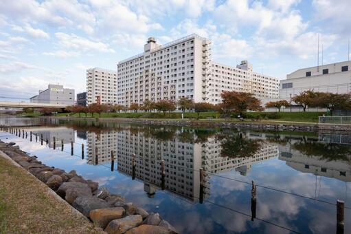 旧中川　河川敷　2025年 旧中川,河川敷,東京の写真素材