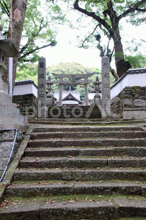 福岡県宗像市の八所宮参道 八所宮,宗像市,福岡県の写真素材