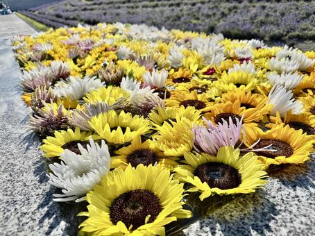 花手水 花手水の写真