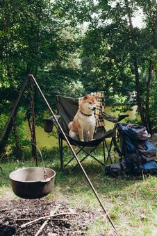 焚き火台の横に座る犬 犬,チェア,お座りの写真素材