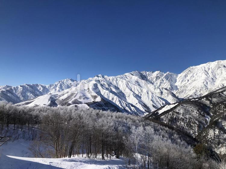 冠雪の北アルプス　長野県白馬村 冠雪,白馬三山,北アルプスの写真素材