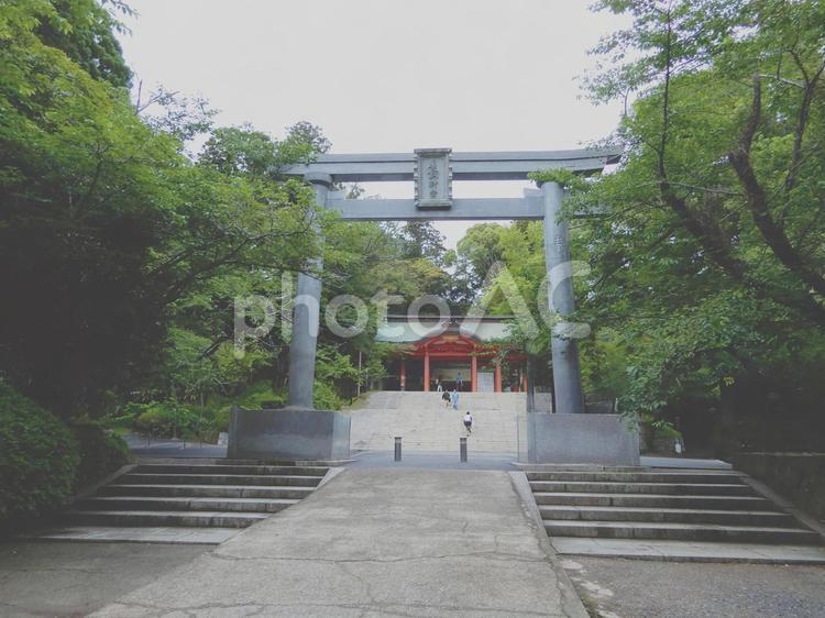 下総国一宮　香取神宮 香取神宮,神社,下総国一宮の写真素材