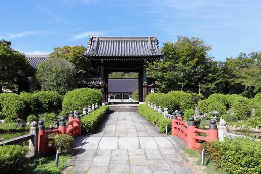 妙満寺 山門 妙満寺 山門 妙満寺,山門,妙塔山の写真素材