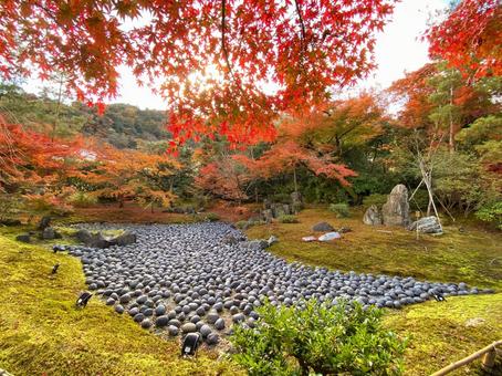 秋の宝厳院 獅子吼の庭 秋の宝厳院 獅子吼の庭 京都,嵐山,天龍寺の写真素材
