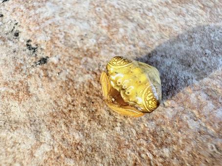 オオトリノフンダマシ 03 オオトリノフンダマシ 03 大鳥の糞騙し,オオトリノフンダマシ,蜘蛛の写真素材