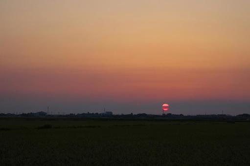 田んぼと夕日 田んぼと夕日 夕日,夕空,夕方の写真素材