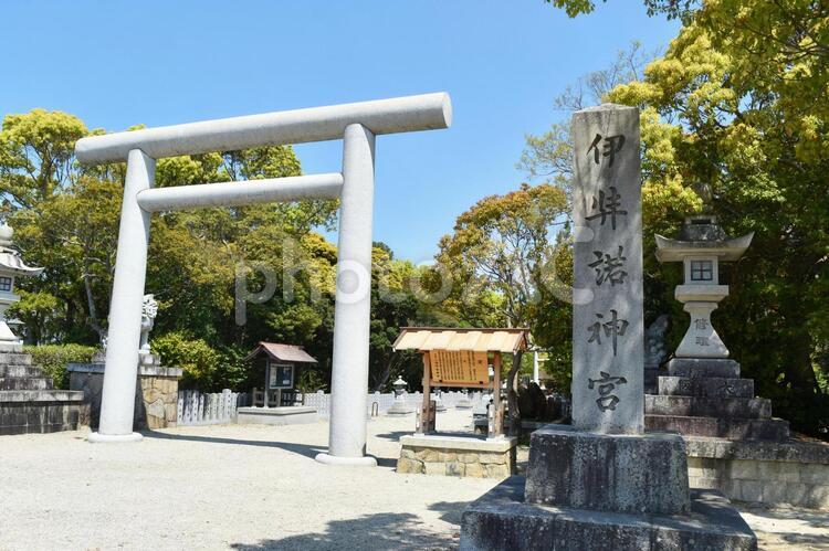 伊弉諾神宮　参道 神社,参道,風景の写真素材