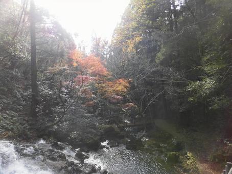秋の七つ滝 秋の七つ滝の写真
