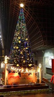 京都駅のクリスマスツリー 京都駅のクリスマスツリーの写真