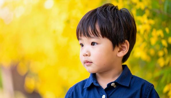 黄色い花を背景にした少年のポートレート 黄色い花を背景にした少年のポートレートの写真