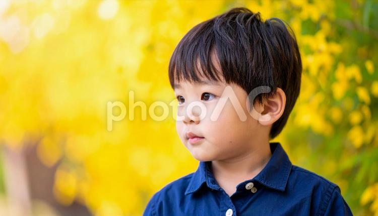 黄色い花を背景にした少年のポートレート 花,少年,夏の写真素材