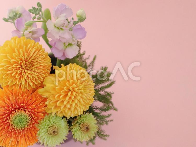 フラワーアレンジメント　ピンポンマムなど フラワーアレンジメント,花,生花の写真素材
