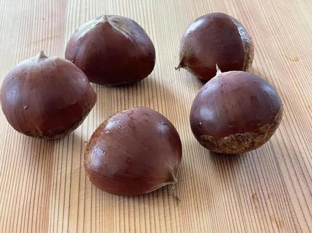 秋の味覚_収穫した栗の写真