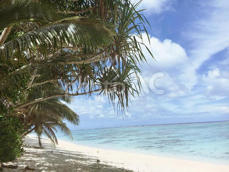 クックアイランド　海外の海 クックアイランド,海,ビーチの写真素材