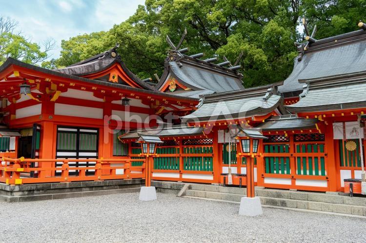 和歌山　熊野速玉大社　拝殿と奥御前三社殿 熊野速玉大社,熊野速玉,神社の写真素材