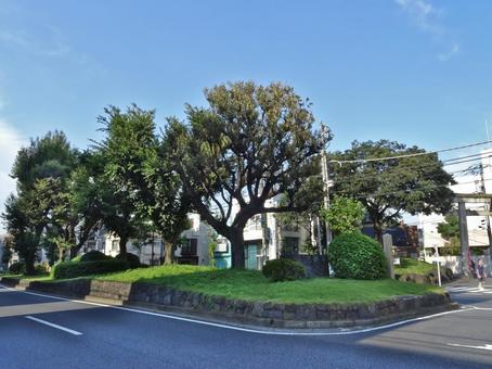 西ヶ原一里塚（国指定史跡） 西ヶ原一里塚,日光御成道,一里塚の写真素材