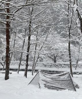 雪中キャンプ 雪中キャンプ アウトドア,キャンプ,冬の写真素材