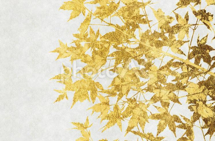白色の和紙に金色の紅葉の背景画像 和風,背景,秋の写真素材