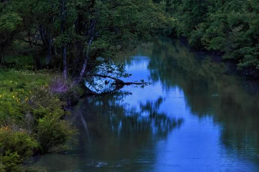 青く光る不気味な川面 不気味,川,鬱蒼の写真素材