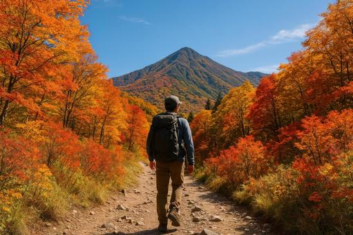 秋晴れの登山道を行く 秋晴れの登山道を行くの写真