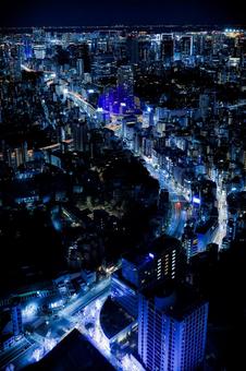 光の道 光の道の写真