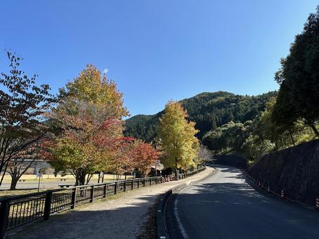 初秋 初秋 秋,散歩,道の写真素材