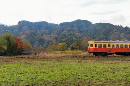 小湊鐵道 小湊鐵道,紅葉,駅の写真素材
