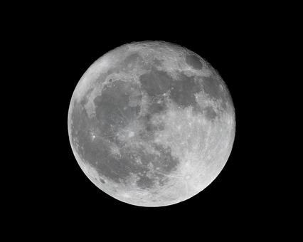 十五夜のお月様 十五夜のお月様の写真