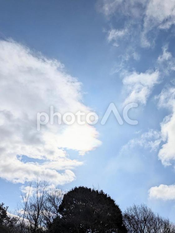 空と木 空,太陽,晴れの写真素材