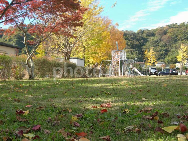 枯れ葉散る公園の片隅 公園,枯れ葉,芝生の写真素材