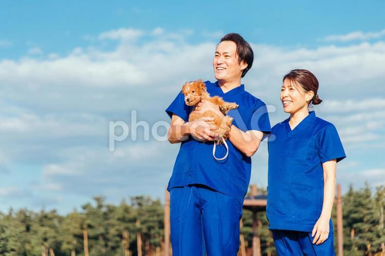 ペットに関わる仕事をする男女 獣医,動物病院,獣医師の写真素材