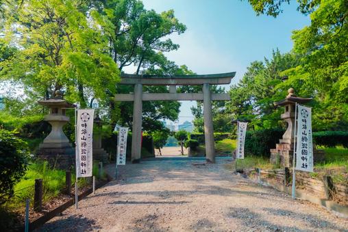 【和歌山】和歌山城近くのお寺 2025 【和歌山】和歌山城近くのお寺 2025 和歌山城,お寺,神社の写真素材