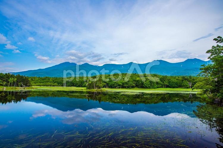北海道　知床五湖ガイドウォーク 知床,知床五湖,北海道の写真素材