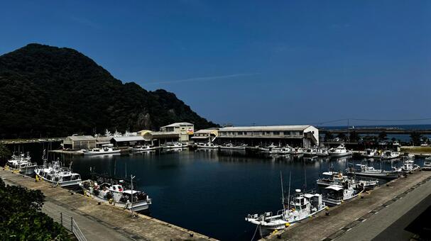 浜坂港に並ぶ漁船 浜坂港,兵庫県,新温泉町の写真素材