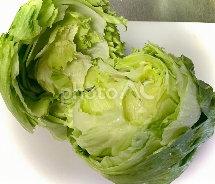 新鮮レタス レタス,野菜,新鮮の写真素材