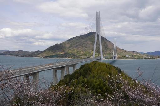 しまなみ海道の大橋 橋,吊り橋,大橋の写真素材