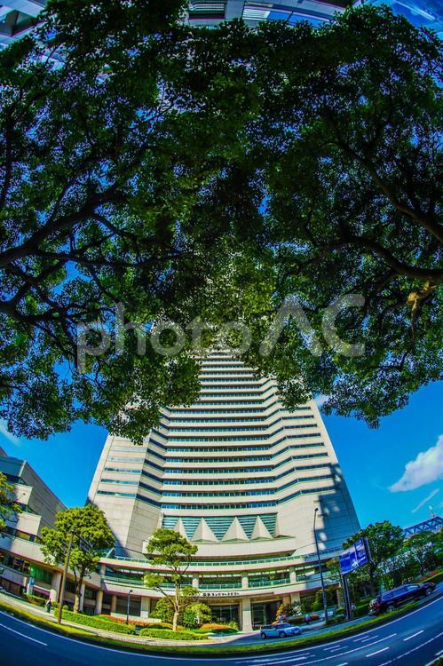 横浜ランドマークタワーと快晴の空 横浜ランドマークタワー,ランドマークタワー,青空の写真素材