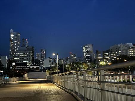 Enjoying the city's night view, JPG