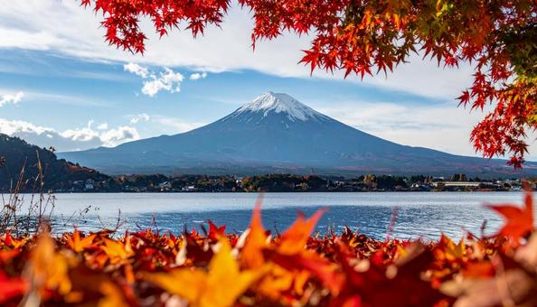 紅葉の中の富士山 紅葉の中の富士山の写真
