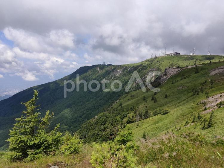 美ヶ原高原 美ヶ原,高原,王ヶ頭の写真素材