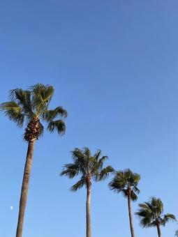 秋の空 四季,風景,景色の写真素材